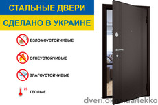 Входные стальные двери Модель TM 9